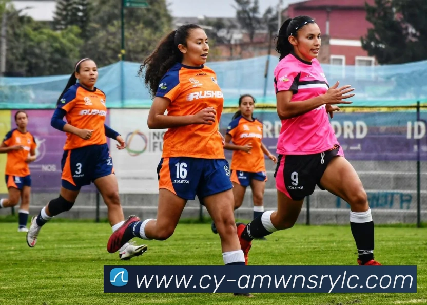 威尼斯人娱乐网站发展历程